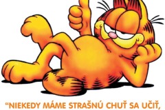 č.43 (Garfield)