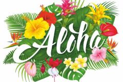 č-183-Aloha